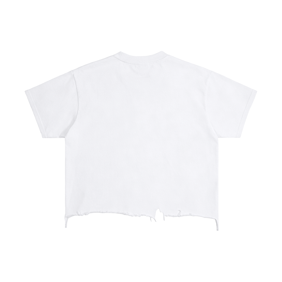 Vintage Distressed Boxy Tee